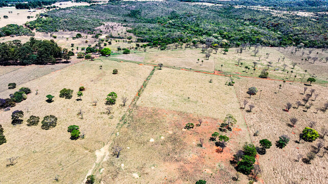 Aerial view of the typical vegetation of the high-altitude Cerrado in the Cafuringa Environmental Protection Area, which is undergoing deforestation. Fercal, DF, Brazil, 2025