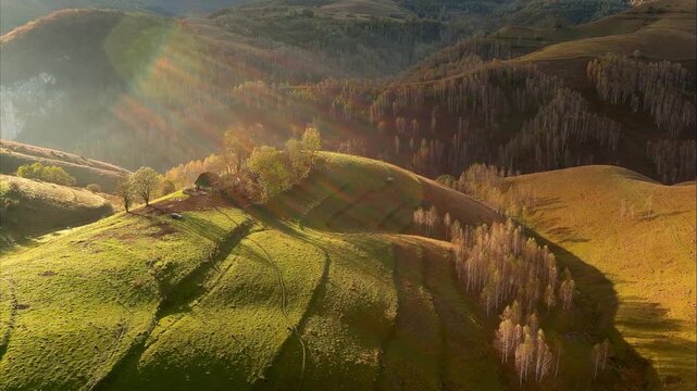 Aerial view of rolling green hills, scattered trees, and autumn forests under warm sunlight in Salciua de Jos, Alba County, Romania.
