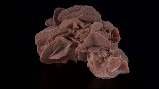 Desert rose crystal or sand rose (a rose-like formations of crystal clusters of gypsum and sand grains)� isolated on a black background, loop rotation