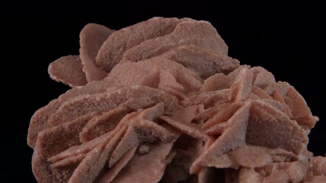 Desert rose crystal or sand rose (a rose-like formations of crystal clusters of gypsum and sand grains)� isolated on a black background, loop rotation