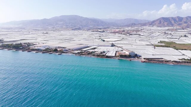 plastic sea agriculture greenhouse invernaderos farming industry drone vacation summer travel blue industrial roof architecture sky skyline mountain - Andalusia, Spain - 2025