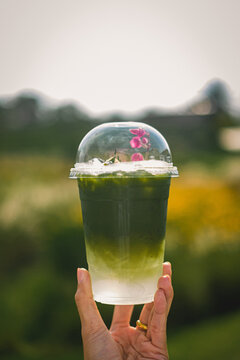 Refreshing green beverage outdoor garden drink photography natural setting close-up view vibrant colors