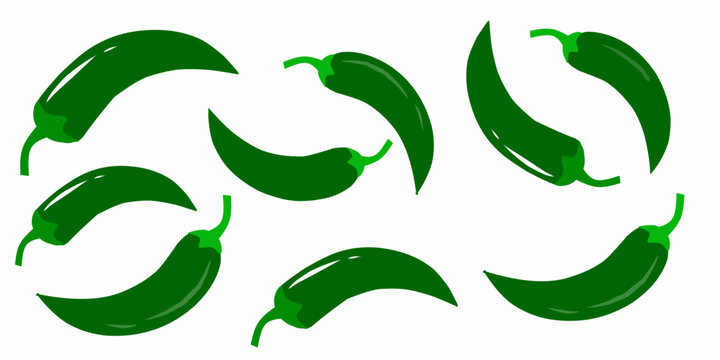 A collection of random chili illustrations. Hand-drawn green chilies. Chili vector icon.