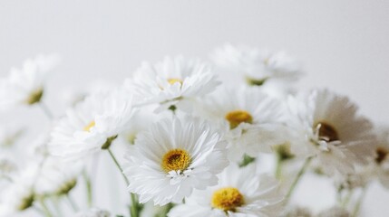 Obraz premium Generative AI, White Daisy Flower Bouquet on White Background