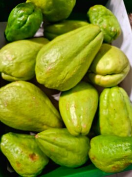 Chayote (Sechium edule) is known in Indonesia as "Labu Siam," "Jipang," or "Manisa." On the shelves of a supermarket, they look fresh and ready to buy. They are used as a vegetable,.