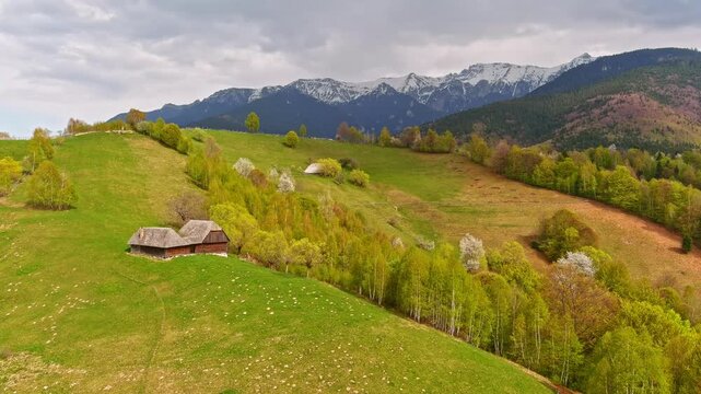 Aerial view of a traditional wooden hut nestled on a lush green hillside with blossoming spring trees and snow-capped mountain peaks in the background in Bran, Brasov, Romania.