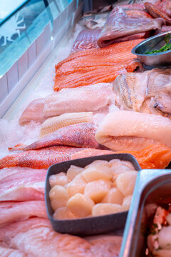 Fresh seafood display at a market with various fish and shellfish on ice in the afternoon sunlight