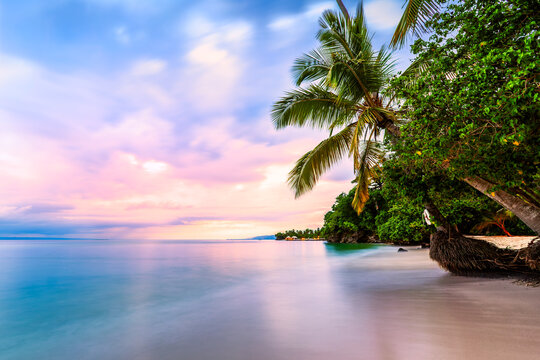 Exotic seascape with palm and sea grape trees in the Dominican Republic