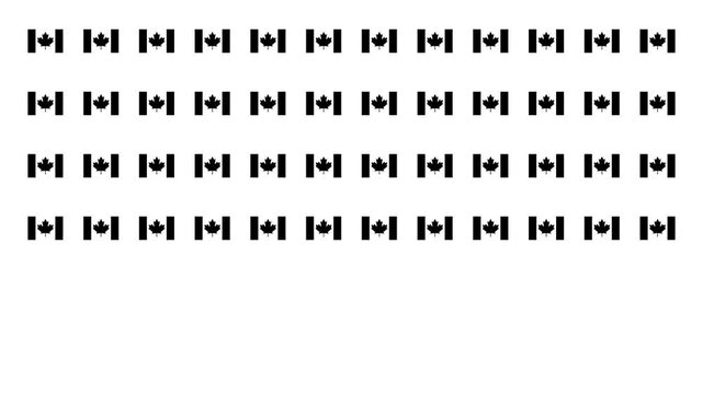 Canada flag pictograms appear in a neat grid, filling the screen in sequence. Suitable for Canada-themed presentations, national pride, and patriotic motion graphics.