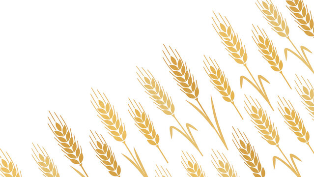 Grass Texture Simple Wheat Stalks on White Background for Agriculture