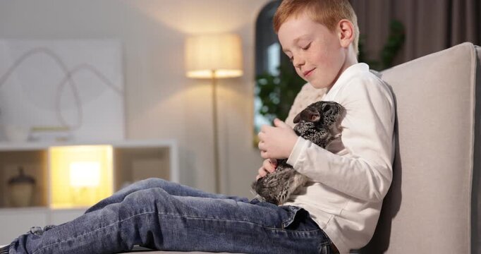 Adorable pet. Child with his cute chinchilla on sofa indoors