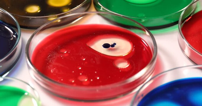 Dripping reagent into Petri dish with sample at white table, closeup