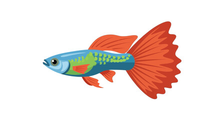 Fototapeta premium Vibrant Guppy Fish Illustration - Aquatic Pet Illustration