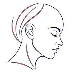 Minimalist woman profile portrait line art graphic illustration with portrait © kuhinur