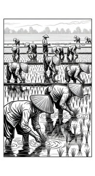 Asian Farmers Planting Rice In Paddy Field With Trees Background