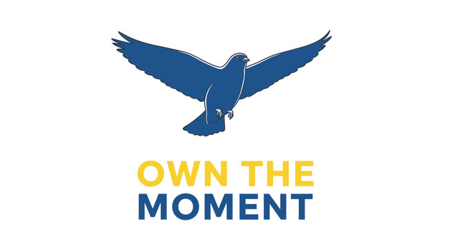 Blue Dove Flying Overhead, Own The Moment Text, Symbol of Peace and Freedom