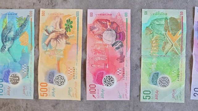 Row of different denominations of Banknotes of Maldives, Maldivian rufiyaa, back, business background