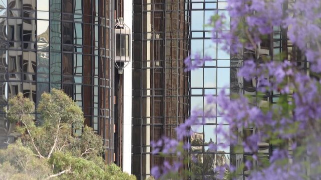 Old Elevator Descends A Mirrored Building With Flowers.