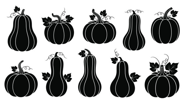 Collection of black silhouettes of various pumpkins and gourds in different shapes and sizes on a white background.