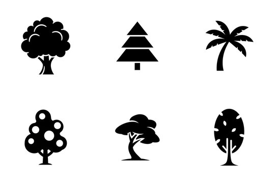 Tree Icon Set. Oak Tree, Pine Tree, Palm Tree, Fruit Tree, Acacia Tree, Oval Tree. Nature and Forest Symbols on White Background - Stock Vector

