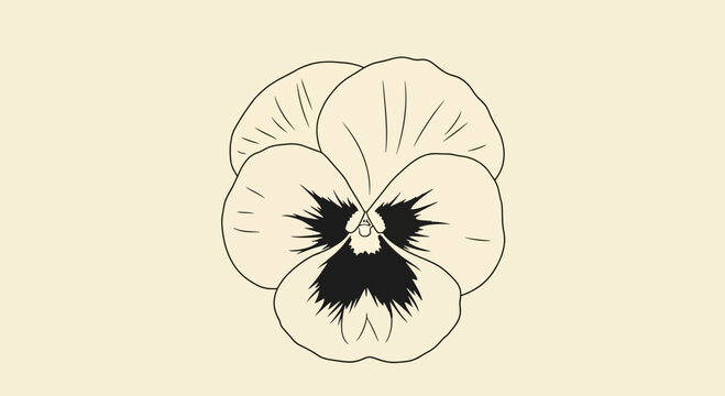 Elegant black and white pansy flower vector illustration on a soft beige background