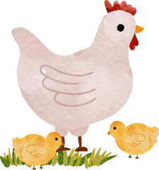 Watercolor chicken and two chicks on grass © nabilahcholila