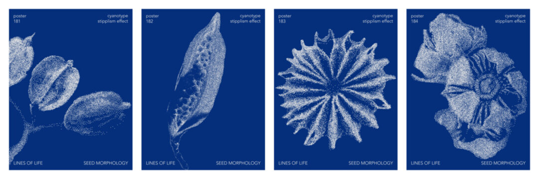 Cyanotype halftone overlay texture poster set with leaves silhouettes. Vector soft blue wallpaper for template, graphic design projects, artworks.
