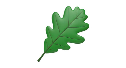Fototapeta premium Green Oak Leaf