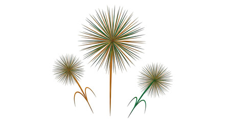 Obraz premium Three abstract dandelion seed heads with green and brown spiky florets