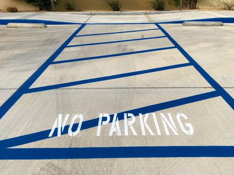 A concrete parking lot has bold blue diagonal lines and the words no parking painted in white with parking stops and some greenery along the edge under bright daylight