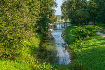 Fototapeta premium A humpback bridge over the pond 