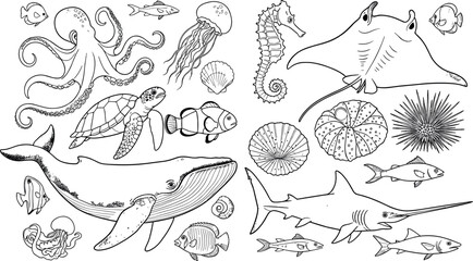Obraz premium Marine Life Collection with Ocean Animals Including Octopus, Whale, Shark, Turtle, Jellyfish, and Seahorse in Detailed Hand Drawn Line Art Vector Illustration SetMarine Life Collection with Ocean Anim