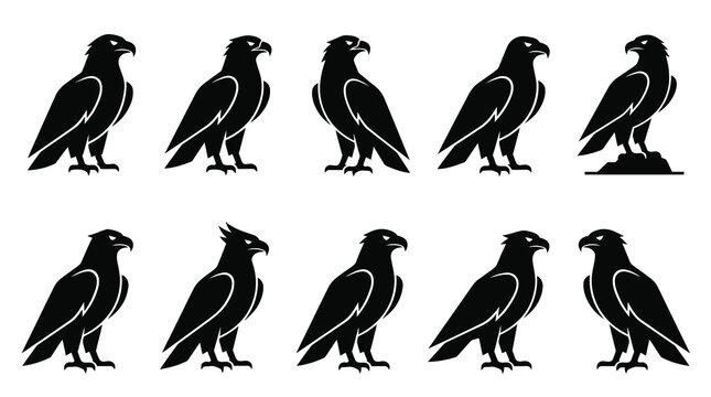 Black Eagle Icons Set, Vector Icons, Flat Style, Wildlife