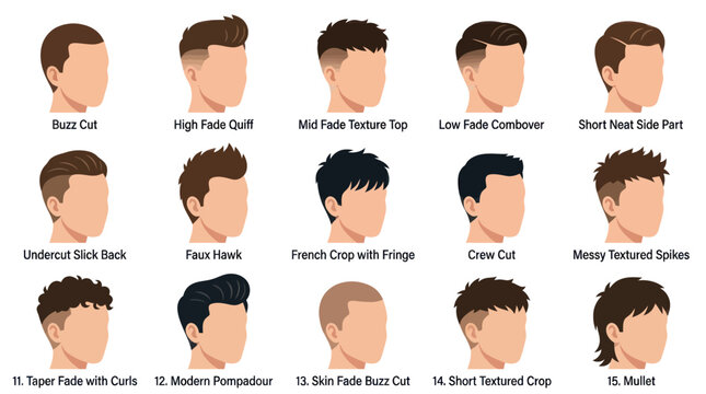 Men's Hairstyles Chart: Illustrated Styles for Modern Gentlemen