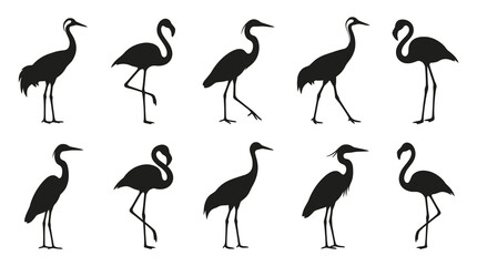 Fototapeta premium Silhouette Cranes and Flamingos, Flat Black and White Vector Icons
