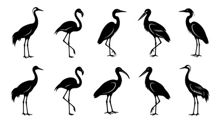 Fototapeta premium Wildlife Wading Birds Black Silhouette Vector Icons Set - Crane, Stork, Flamingo, Ibis Glyphs