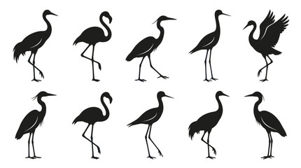 Fototapeta premium Nature Wildlife Black Silhouette Vector Icons: Wading Birds - Herons, Cranes, Flamingos, Storks