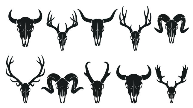 Black  White Vector Art of Various Animal Skulls and Horns