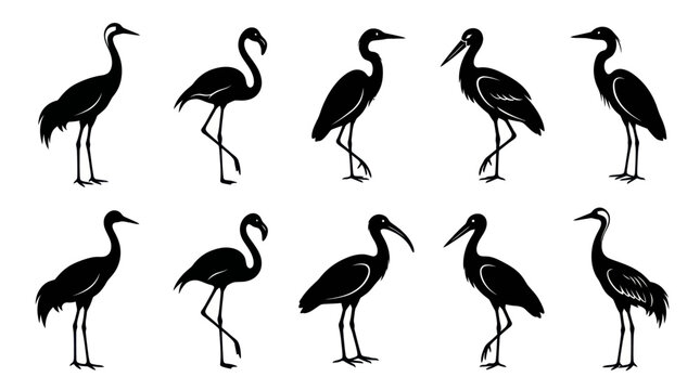 Wildlife Wading Birds Black Silhouette Vector Icons Set - Crane, Stork, Flamingo, Ibis Glyphs
