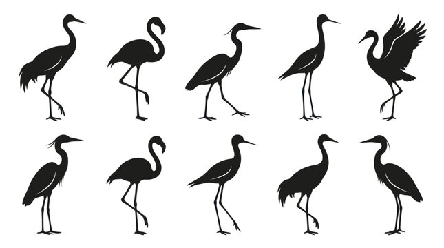 Nature Wildlife Black Silhouette Vector Icons: Wading Birds - Herons, Cranes, Flamingos, Storks