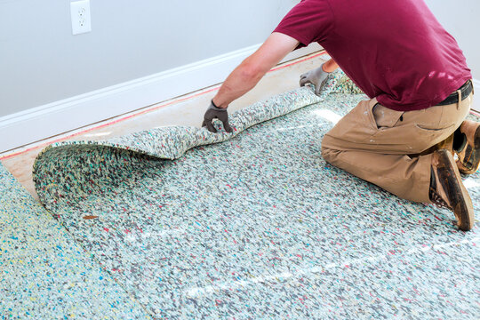 Worker pulls up piece of old carpet in room with light walls wood floor.