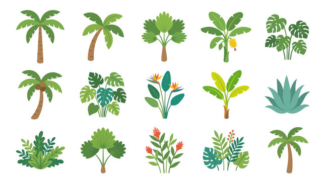Flat Tropical Plants and Trees Vector Illustration - Nature Botanical Jungle Flora Set