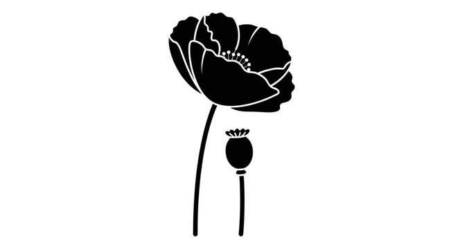 Black silhouette of a blooming poppy flower and a seed pod.