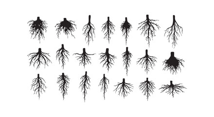 Fototapeta premium Tree root system silhouettes collection for biology educational materials and gardening landscaping concepts design ideas.