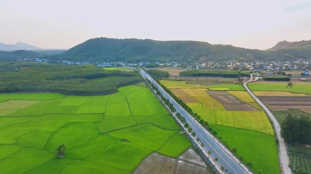 Drone Shot of Countryside Road Splitting Rice Fields with Village and Hills in Vietnam