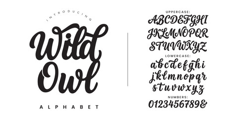 Wild Owl decorative brush script font for logo design branding wedding invitation and creative typography © happy