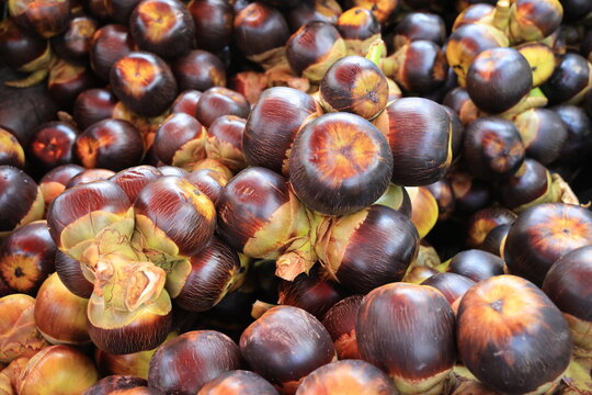 Bunch of Palmyra fruit (Borassus flabellifer)
a refreshing, seasonal fruit found in clusters on palm trees in tropical regions. It has a black, fibrous husk containing translucent, jelly-like seeds.
