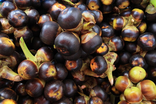 Bunch of Palmyra fruit (Borassus flabellifer)
a refreshing, seasonal fruit found in clusters on palm trees in tropical regions. It has a black, fibrous husk containing translucent, jelly-like seeds.