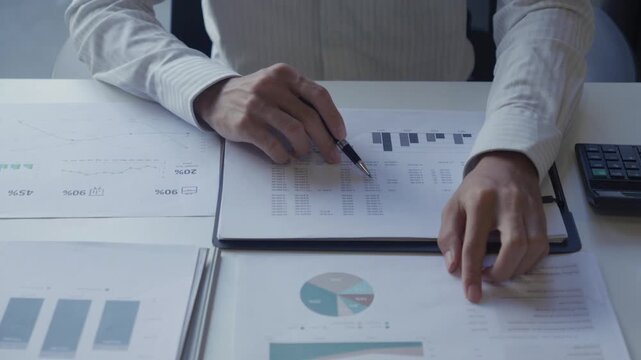 Auditor Reviewing Financial Statement for Accuracy