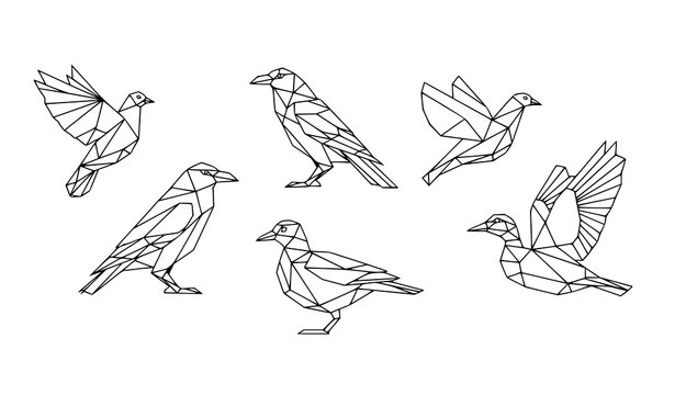 Minimal geometric bird icons origami low poly birds line art black and white vector illustration isolated on white